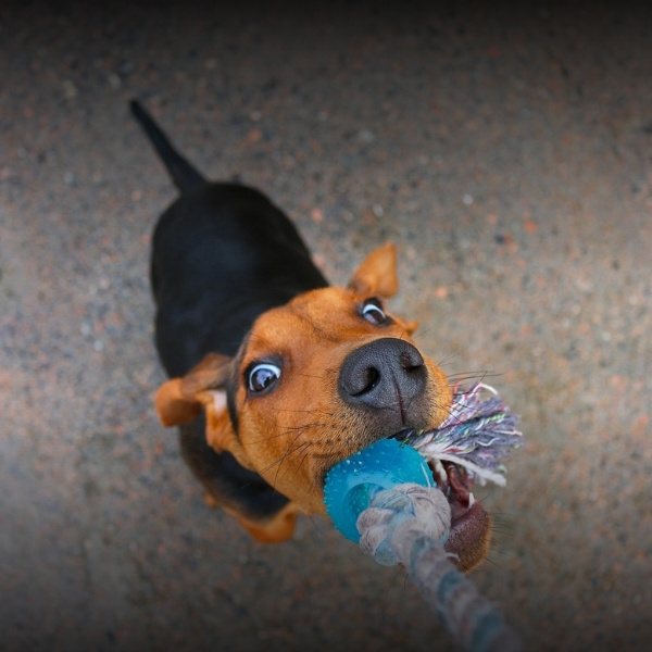 Sich bei Konflikten behaupten